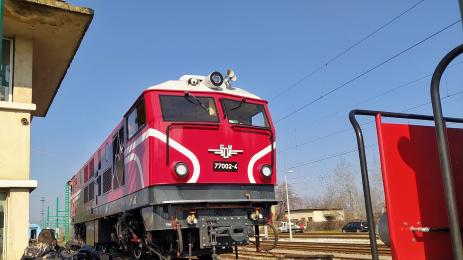 Теснолинейката