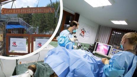 мечка операция