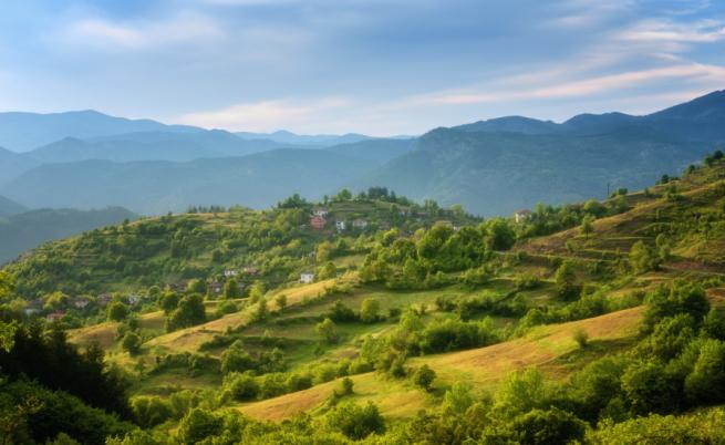 Спасиха дете, изгубило се в гората край Ардино