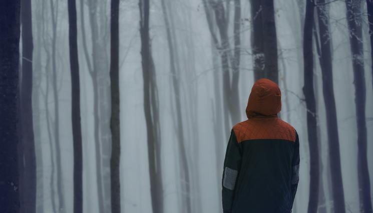 изгубено момче - СРЕДНОЩНА АКЦИЯ: 13-годишно дете се изгуби в гората, дириха го три часа