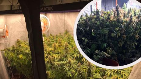 нарколаборатории