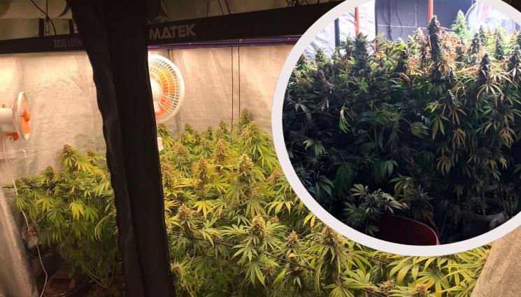 нарколаборатории - УДАР: ГДБОП думна  нарколаболаборатория с краден ток