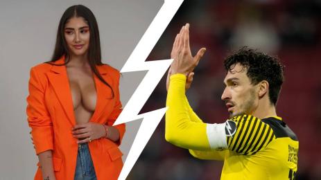 Хумелс скандал