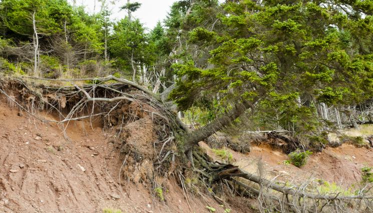 свлачище - ЗАРАДИ ВАЛЕЖИ: И Проходът на Републиката е затворен