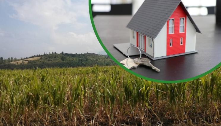 а - ТЪНКАНА: Искат за 5 дка нива в София 50 бона