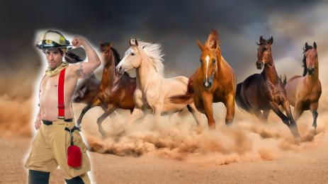 пожарникар коне