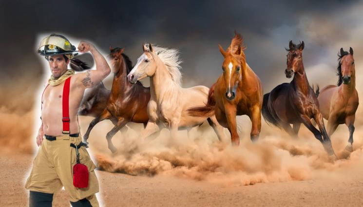 пожарникар коне - БЪРЗ И ЯРОСТЕН: Пожарникар спечели надбягване срещу коне