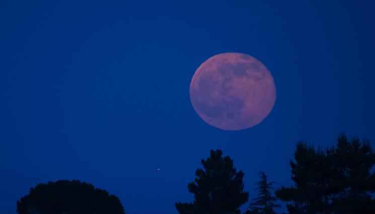 Луна - АСТРО: Ягодова луна ни грее по обед