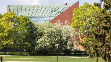 университет