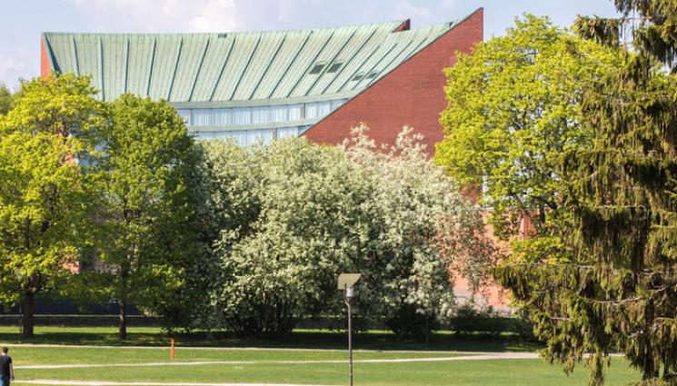 университет - МОДЕРНИ ВРЕМЕНА: Обединяваме вузове като Белгия