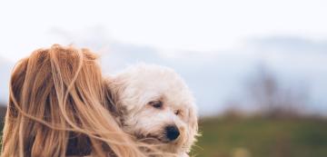 Защо кучетата се страхуват от силен вятър