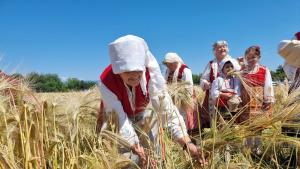 С народния ритуал зажънване в община Тунджа дадоха символично начало