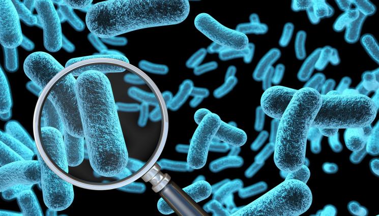 бактерия - УЖАСЯВАЩ КРАЙ: Човекоядна бактерия уби четирима души!