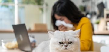Котките причиняват ли астма на стопаните си