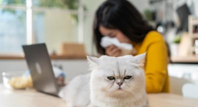 котка и стопанин с алергия