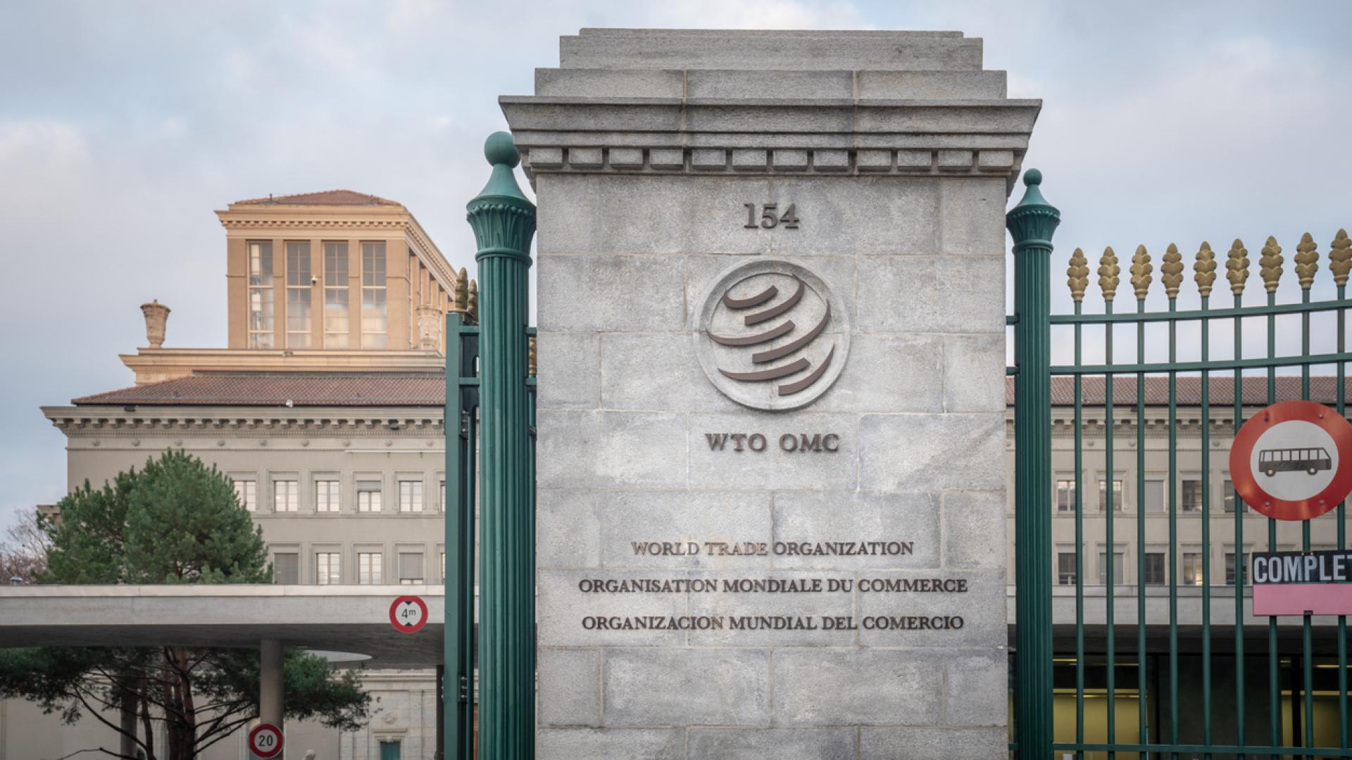 Генералният директор на Световната търговска организация СТО Нгози Оконджо Иуеала заяви