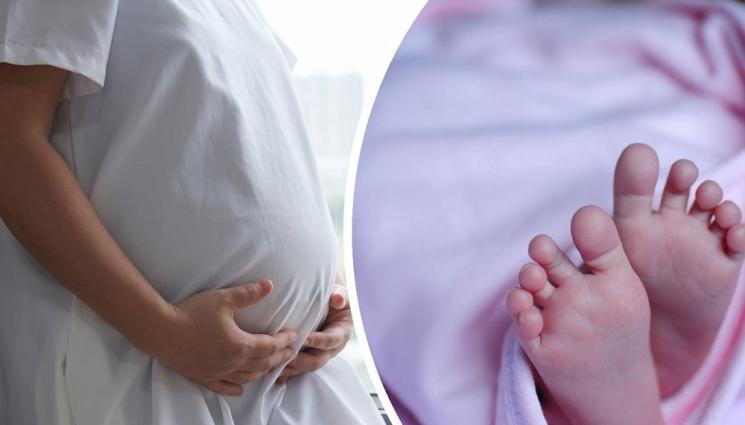 бременна бебе