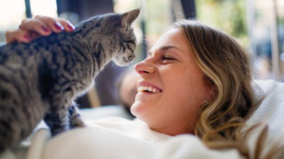 8 изненадващи начина, по които котките и хората си приличат
