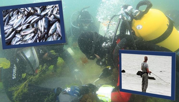 с - НАСЛУКА: Морето ни завря от сафрид