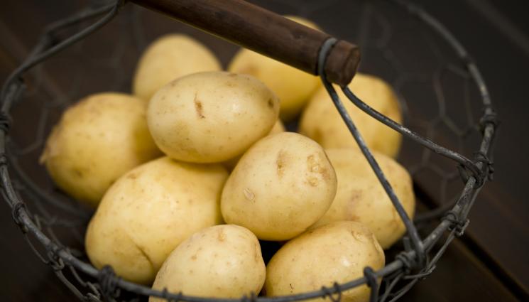 Картофи - ЗА ЛЮБИТЕЛИТЕ НА ВЪГЛЕХИДРАТИТЕ: Картофени филийки (РЕЦЕПТА)