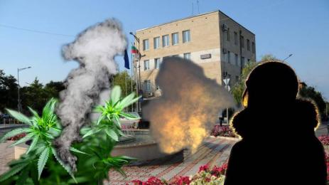 канабис петрич