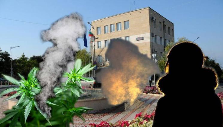 канабис петрич - НАЙ-ЩАСТЛИВИЯТ ПОЖАР: Петричани се напушиха, 6 часа горяха тонове канабис в двора на КАТ