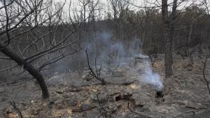 Снимки разкриват последиците от горския пожар в планината Сиера де