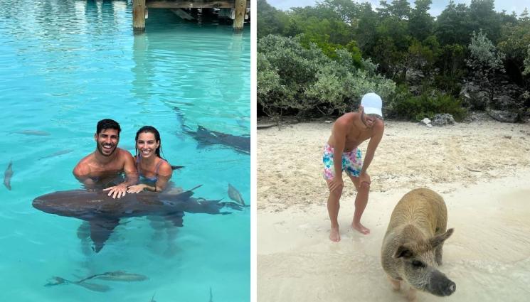 Марко Асенсио - Нападател на Реал Мадрид плува с акули и... прасета