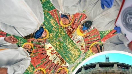 бузлуджа чиния