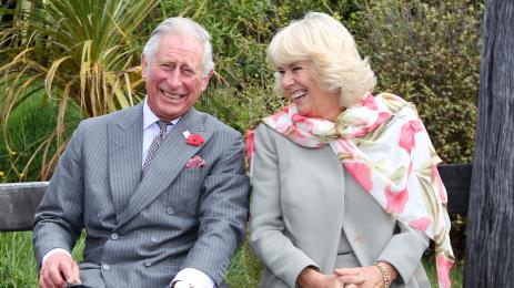 Камила Чарлз