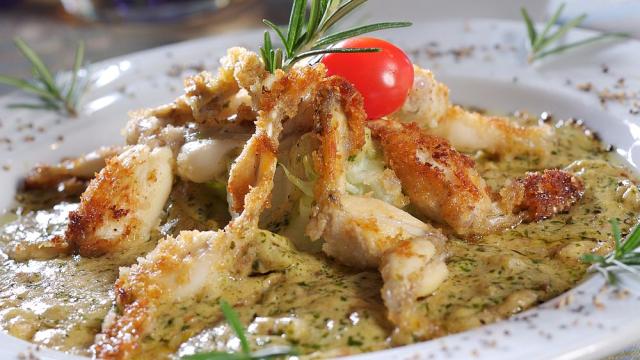 Pro Wildlife: Страстта към жабешки бутчета ще доведе до екологична катастрофа