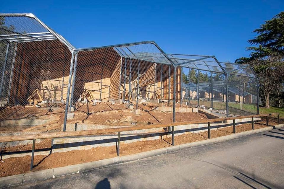 зоопарк стара загора