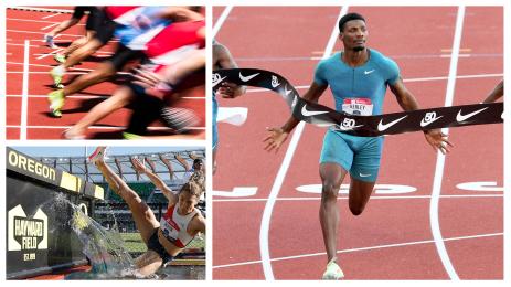 Кърли лека атлетика