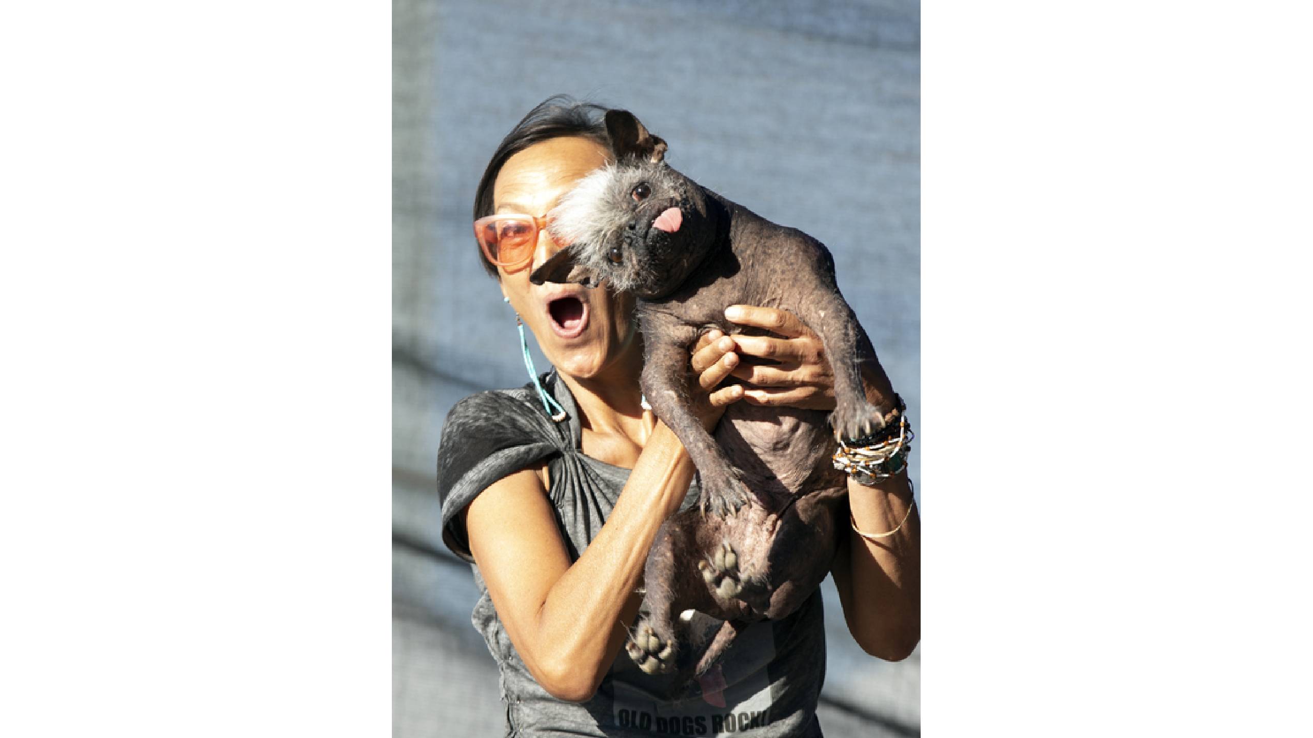 китайско голо качулато куче