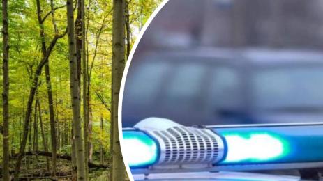 гора полиция