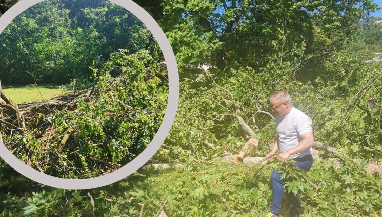 Сандански - ВРЕМЕТО ПОЛУДЯ: Буря изкорени дървета в Югозападна България (СНИМКИ)