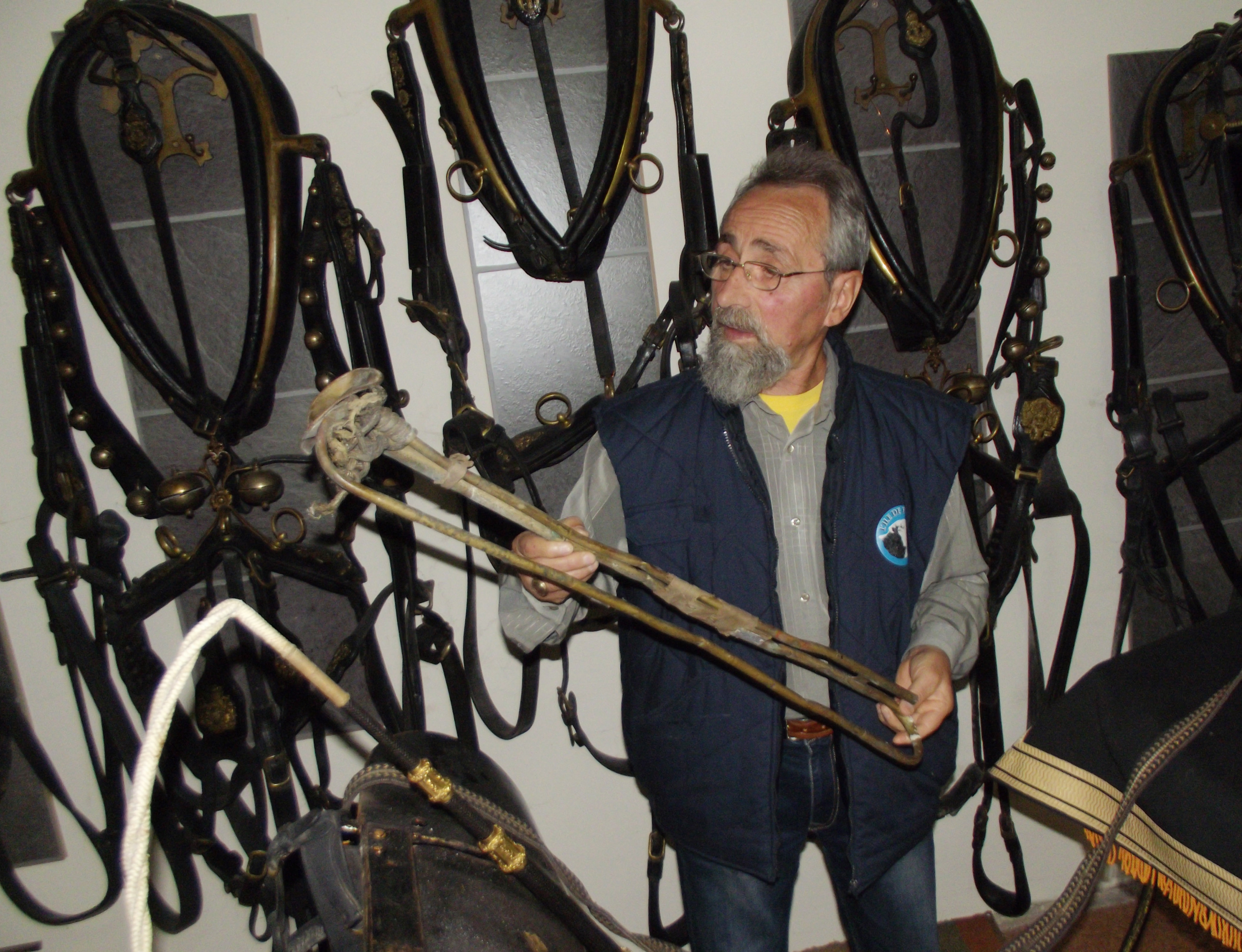 каляска фердинанд