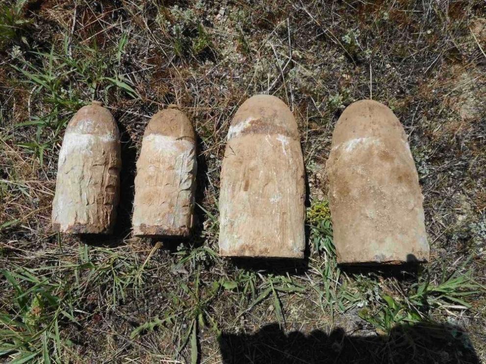 Снимка: Иззеха оръжие, взривни материали и боеприпаси от имот в Монтанско