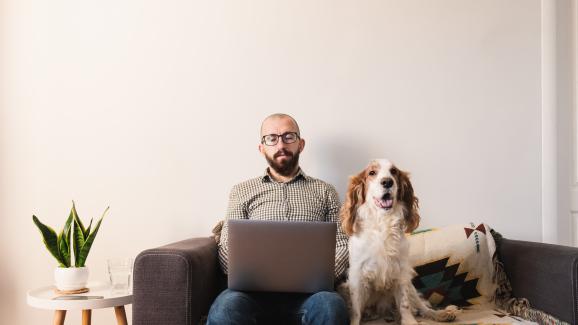 Как да спрем кучето да лае, когато работим от вкъщи