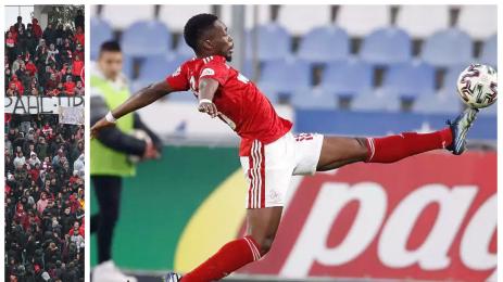 Брадли Мазику