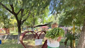 Над 20 000 летни цветя получават пловдивски детски градини и училища