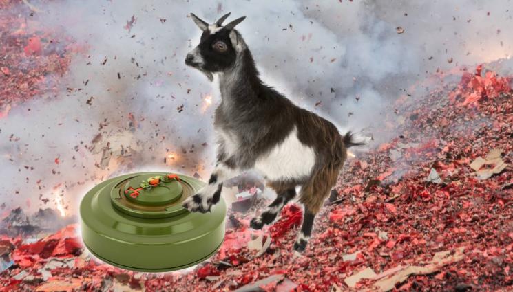 коза - УНИВЕРСАЛЕН ВОЙНИК: “Козата от Киев” натръшка 40 руски военни