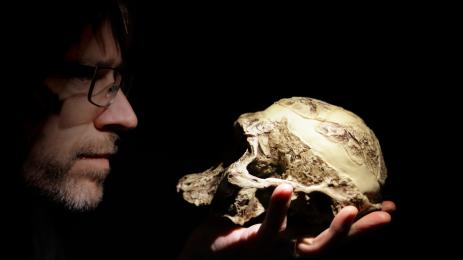 австралопитек