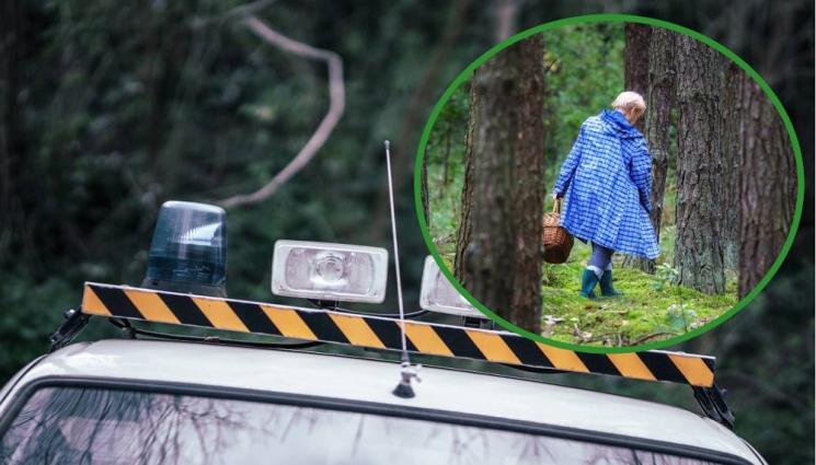 a - СПАСИТЕЛНА АКЦИЯ ПО ВРЕМЕ НА АДСКА БУРЯ: Възрастна жена се изгуби в гората, свирка спаси живота й