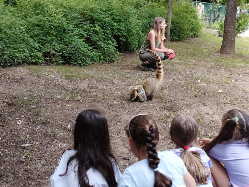  Носатото мече Борис 