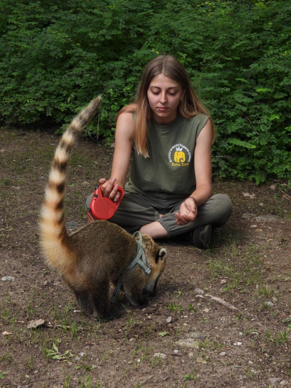  Носатото мече Борис 