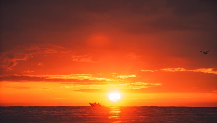 d - Отбелязваме Джулай морнинг