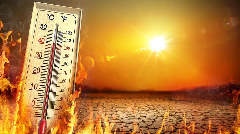 Екстремните горещи вълни причиняват 150 000 смъртни случая годишно