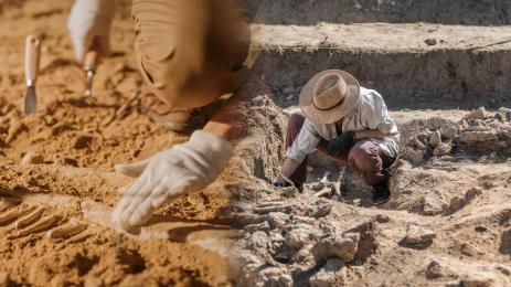 археология