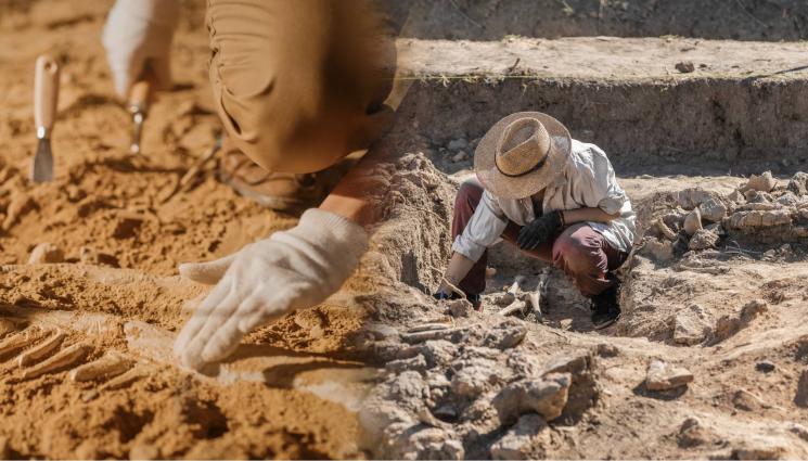 археология - ЗАРАДИ БЕЗХАБЕРИЕ: Министерството на културата спря парите за археологията
